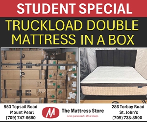 The Mattress Store