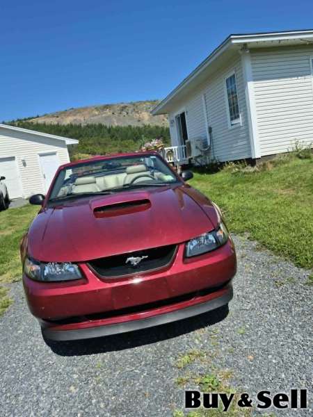 2003 FORD MUSTANG GT