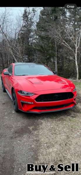 2021 mustang gt 