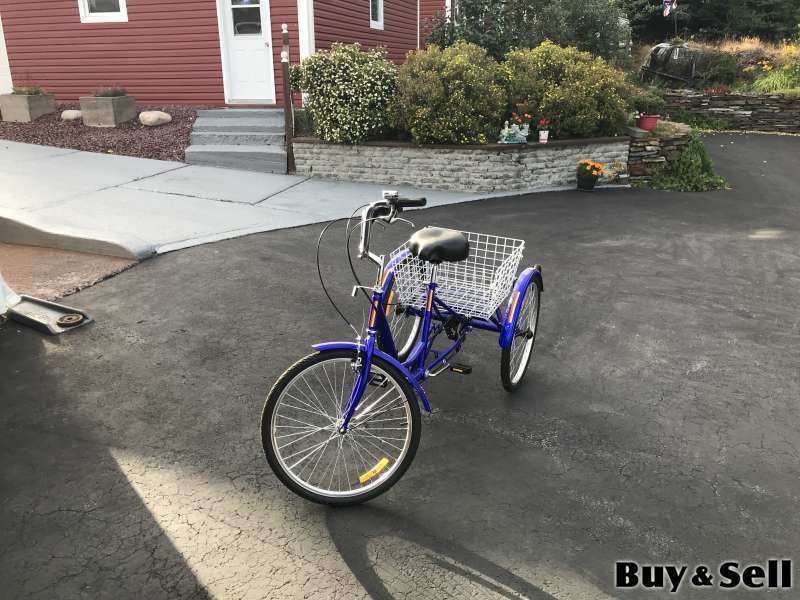 Adult Tricycle