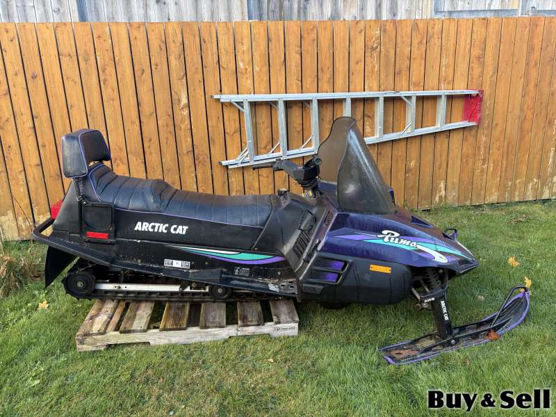 Arctic Cat Puma 2 up