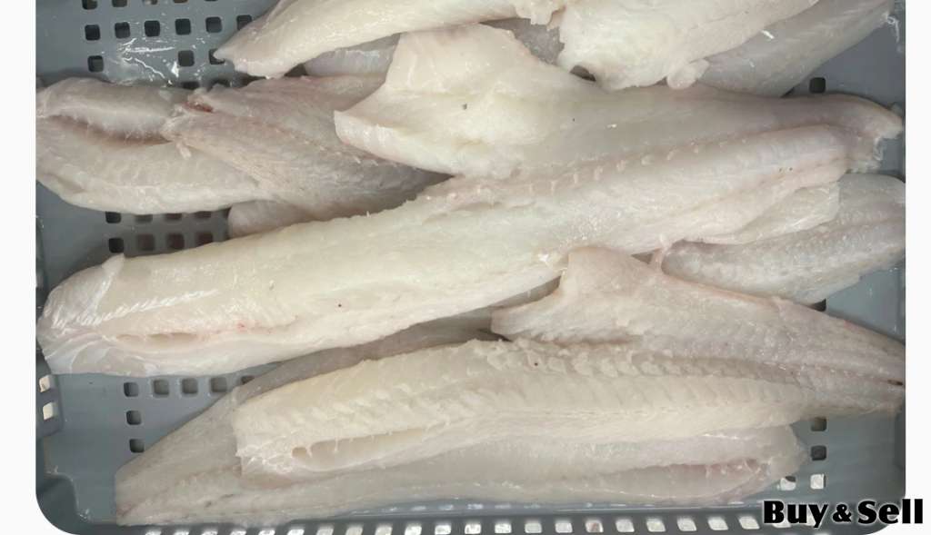 FRESH COD PETTY HARBOR $5/LB