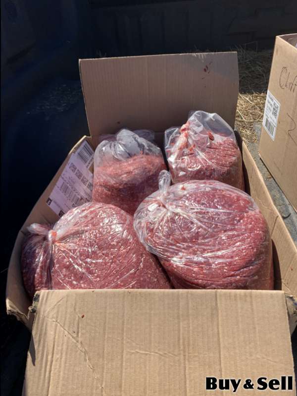 Hamburger meat 