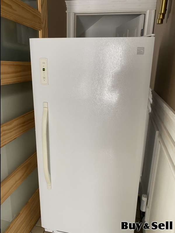 Upright Freezer 