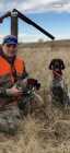 10 week old German shorthair  - Photo 1 of 4