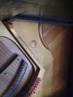 100 year old upright baby  Willis - Photo 1 of 4