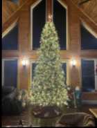 12-foot-pre-lit Christmas Tree 