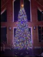12-foot-pre-lit Christmas Tree  - Photo 1 of 2