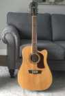 12-String Acoustic/Electric Guitar