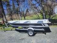 14 ft Aluminum boat and trailer 
