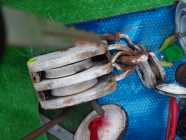 $150 each FIRM::::Large antique Double Pulley Bloc - Photo 1 of 2