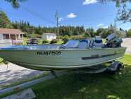 16 ft aluminum boat + 2011 Evinrude 25hp motor