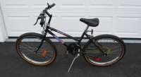 Free Spirit 18 speed, seat height is currently 33" ...
