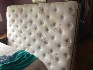 no box spring, pick up Winterton.