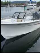 18.5 ‘ Seaserpent 90hp Yahama - Photo 2 of 3