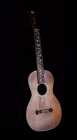 1886 Washburn Parlor Guitar - Photo 6 of 10