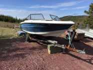 For sale 19 1/2 foot boat and trailer