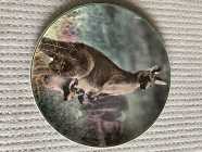 1960's Collectable Plates – Australia - Photo 3 of 6