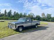 1979 Chev Silerado - Photo 2 of 10