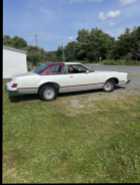 1979 Mercury Cougar XR7 Sleeper Car - Photo 2 of 10