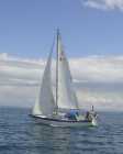 Solid cruiser, Inboard Yanmar 1gm diesel, Mainsail ...