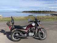 1983 Suzuki tempter 650 - Photo 6 of 9