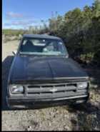 1987 S-10 Project Truck