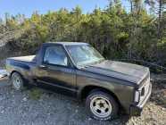 1987 S-10 Project Truck - Photo 1 of 8