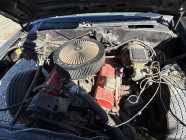 1987 S-10 Project Truck - Photo 3 of 8