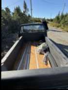 1987 S-10 Project Truck - Photo 5 of 8