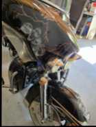 1989 Harley Davidson  - Photo 3 of 6