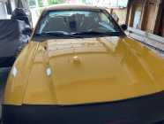 1998 Ford Mustang GT - Photo 1 of 10