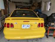 1998 Yellow Mustang GT  - Photo 3 of 10