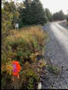 2.5 acres Oceanview land located in Holyrood, NL - Photo 1 of 5