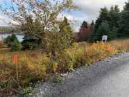 2.5 acres Oceanview land located in Holyrood, NL - Photo 2 of 5