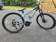 2 Diamondback mountain bikes