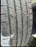 2 Months Old! - Photo 1 of 3