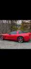 2003 50th anniversary corvette