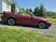 2003 FORD MUSTANG GT - Photo 2 of 9