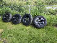 2003 Toyota Tundra TRD off road 4x4 - Photo 7 of 8