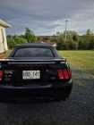 2004 MUSTANG GT /40TH ANNIVERSARY EDITION - Photo 3 of 4