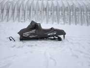 2005 700 Sabercat EXT - Photo 5 of 6