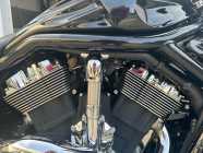 2006 Harley Davidson V-Rod - Night Rod VRSCD - Photo 6 of 9