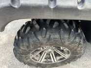 2008 Yamaha Rhino