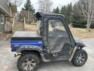 2008 Yamaha Rhino - Photo 2 of 6
