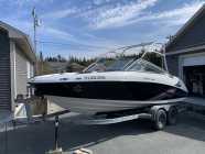 2009 Yamaha AR210