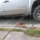  - Photo 4 of 7
