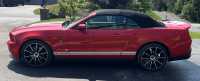For Sale: 2010 Ford Shelby GT500 Convertible - Photo 5 of 9