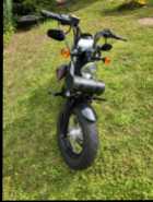 2011 Harley Davidson 48