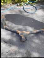  2012 Rav 4 trailer hitch